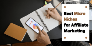 Best Micro Niches